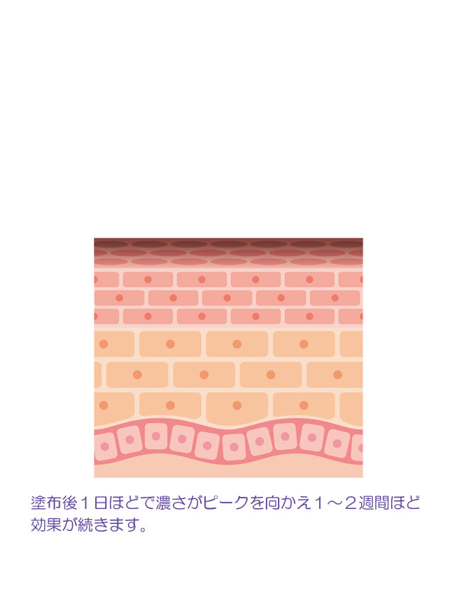 セルフタンニングローション コンテストブラック 説明その2